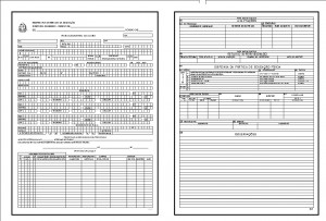 FICHA CADASTRAL C/100 FLS